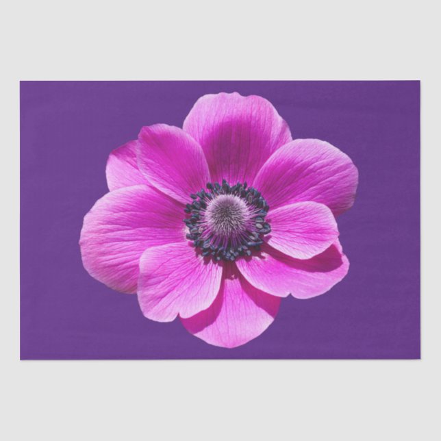 Seda Papel tapiz de flores de Anemone (Anverso)