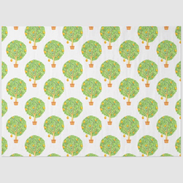 Seda Papel Tejido de 18 lb 20 x 30" (Anverso)