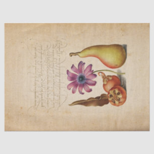 Seda Papel Tejido de caligrafía de manuscrito iluminado