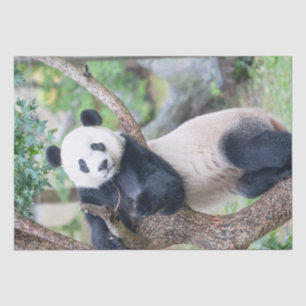 Seda Papel Tejido Gigante Panda / Papel de descomposici