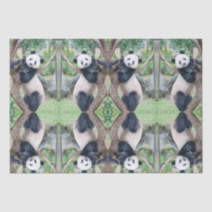 Seda Papel Tejido Gigante Panda / Papel de descomposici