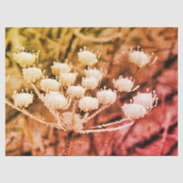 Seda Papel Tejido + Papel de descomposición - Primer co