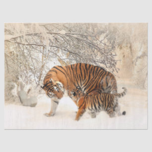 Seda papel tigre, madre y papel de tejido para bebés