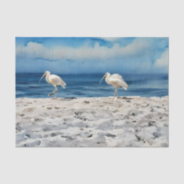 Seda Papel tisú de pájaros en la playa