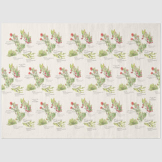 Seda Papel tisú de plantas nativas del volcán de la isl