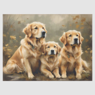 Seda Papel tisú de retrato de tres perros Golden Retrie