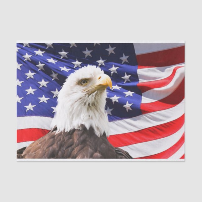 Seda papel tisular de independencia estadounidense (Anverso)