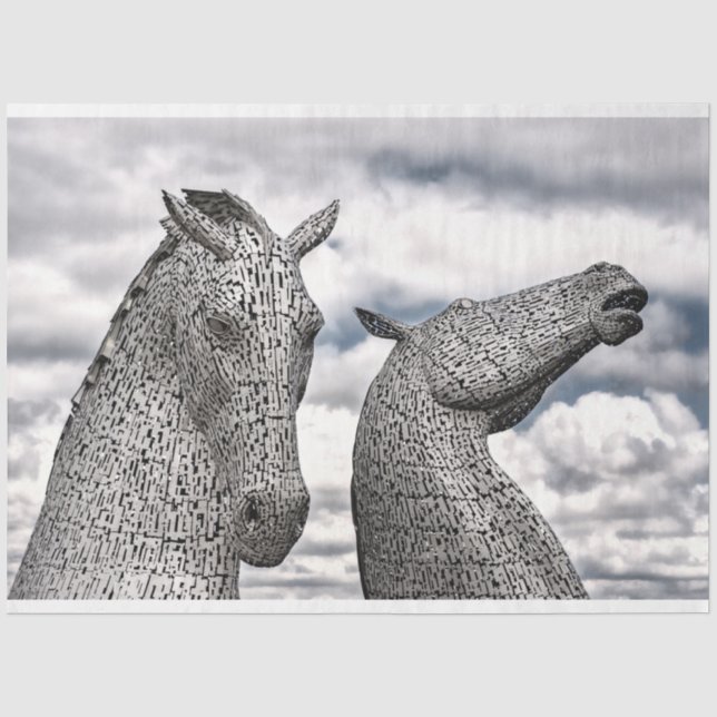 Seda papel tisular de las kelpies (Anverso)