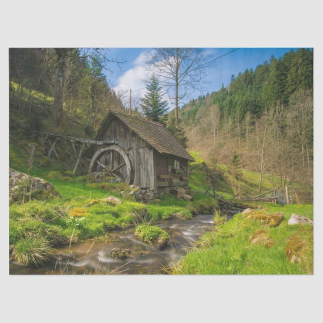 Seda papel tisular de molino de país (Anverso)