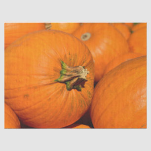 Seda papel tisular de parche de calabaza