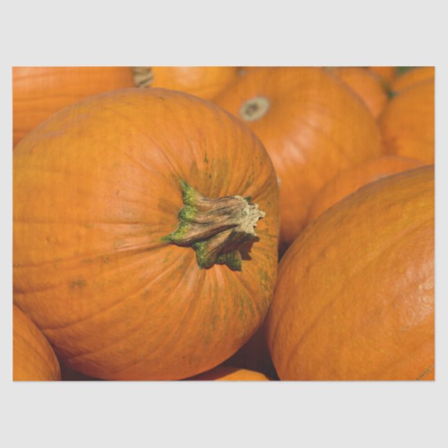 Seda papel tisular de parche de calabaza (Anverso)