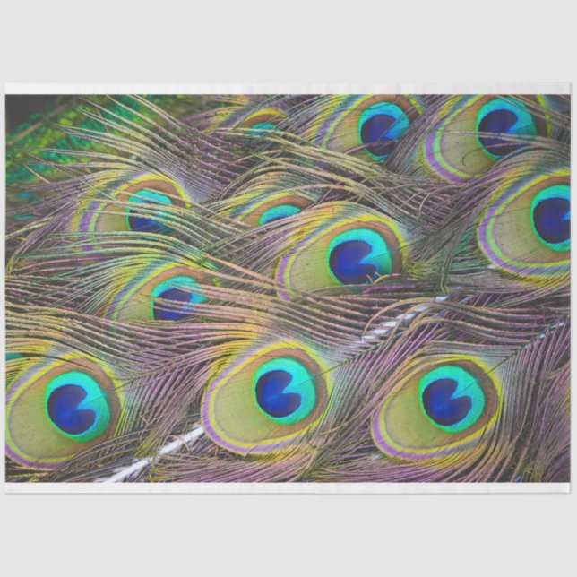 Seda Pies de pavo real 1 Papel de tejidos de descomposi (Anverso)