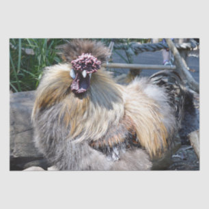 Seda Pollo feo, papel de tejidos