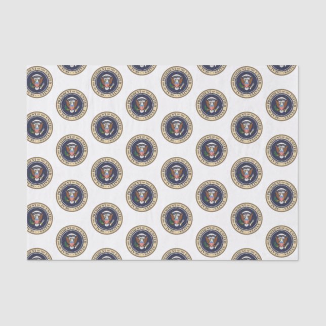 Seda Presidente de papel de tejidos decorativos (Anverso)