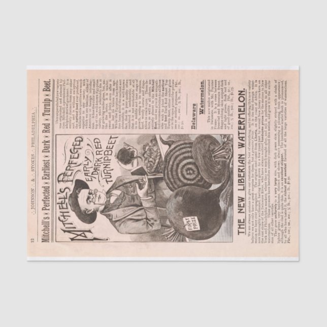 Seda Remolachas del catálogo de la granja y papel (Anverso)