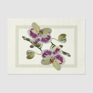 Seda Ricos regalos de tejidos de papel con orquídeas am