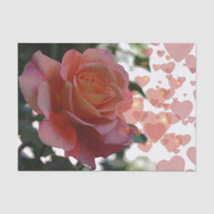 Seda Rosa Con Papel De Tejido Cardíaco