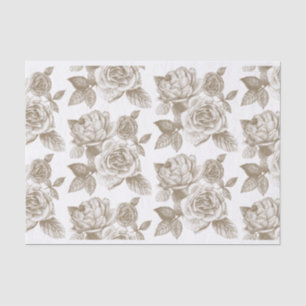 Seda Rosa de bosquejo de papel en Sepia