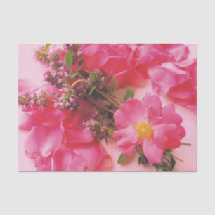 Seda Rosas en el PAPEL DE TIEMPO-TEJIDO