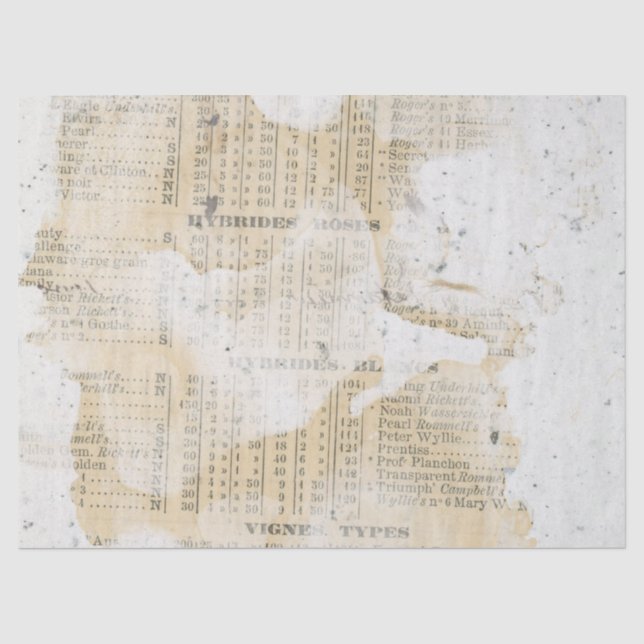 Seda Serie de Papel Deteriorado Ephemera Diseño 3 (Anverso)