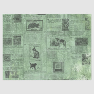 Seda Serie de Papel Verde Efímero Diseño 14