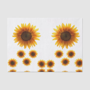 Seda Solares de papel de tejido decorativo