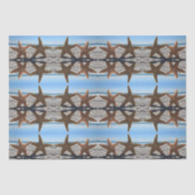 Starfish en el papel de los tejidos de la playa