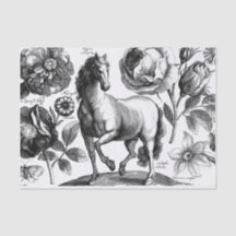 Tejido floral vintage de caballos o Papel desconch