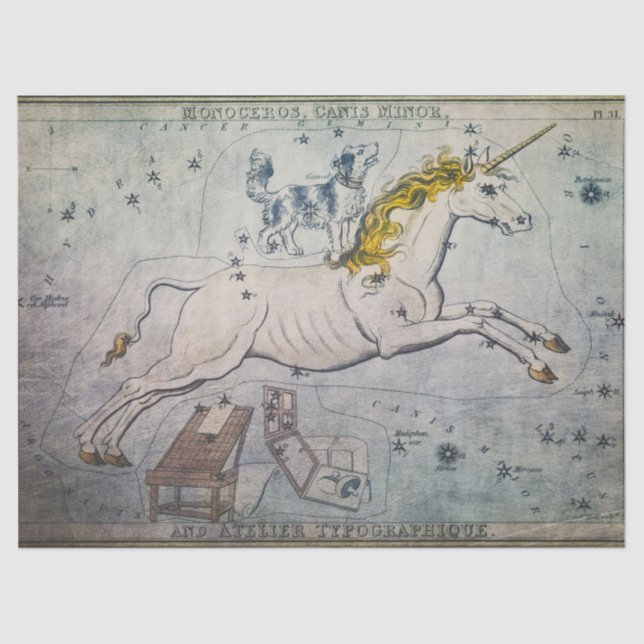 Seda Tejido unicornio o papel de descomposición (Anverso)