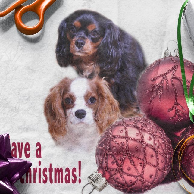 Seda ¡Tenga una Navidad Cavalier! Pañuelos de Papel CKC (Subido por el creador)
