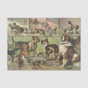 Seda Una plétora de papel de tejidos de perros