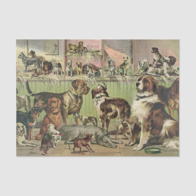 Seda Una plétora de papel de tejidos de perros (Anverso)