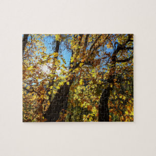 Sedona Autumn Puzzle