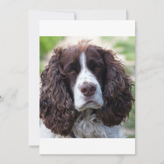 SEE hígado blanco segundo (Anverso)