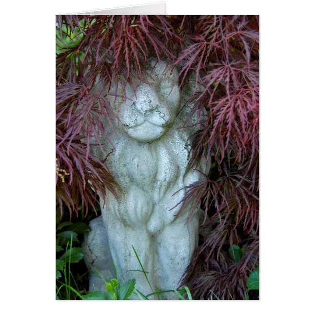 See Me Roar (Frente)