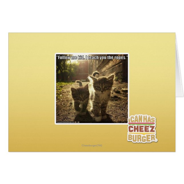 Seguir a mi hijo (Anverso (Horizontal))