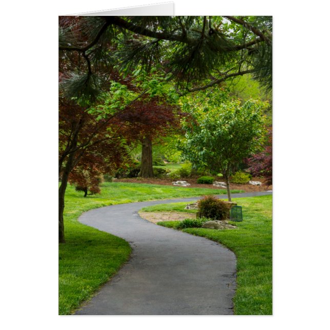 Seguir la ruta (Frente)