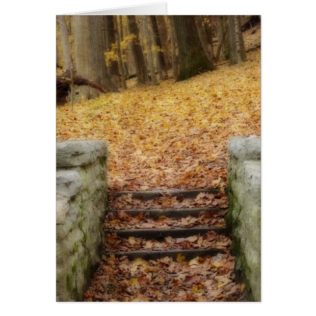 Seguir la ruta (Frente)