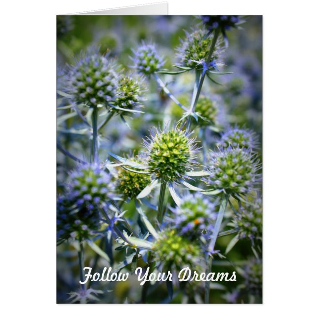 Seguir tus sueños (Frente)