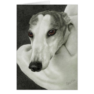 "Seguridad" - Tarjeta de Greyhound
