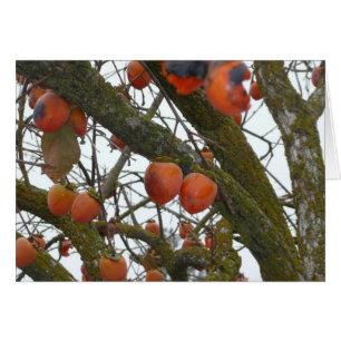 "Seguro tengo gusto de colgar hacia fuera con