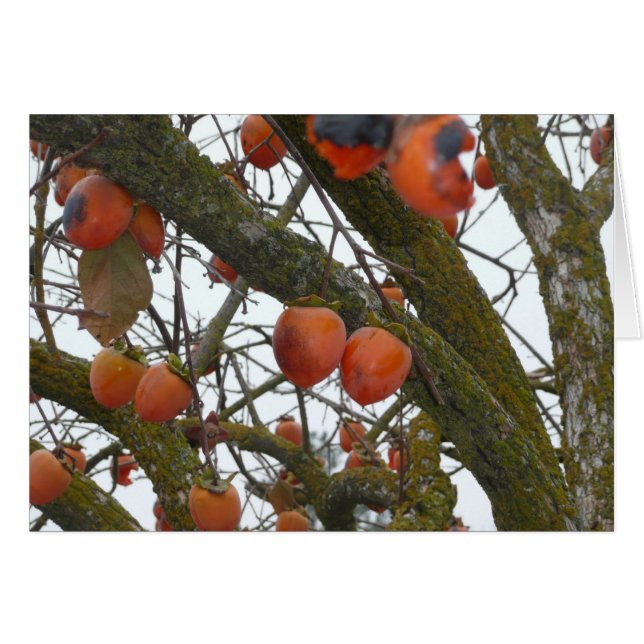 "Seguro tengo gusto de colgar hacia fuera con (Anverso (Horizontal))