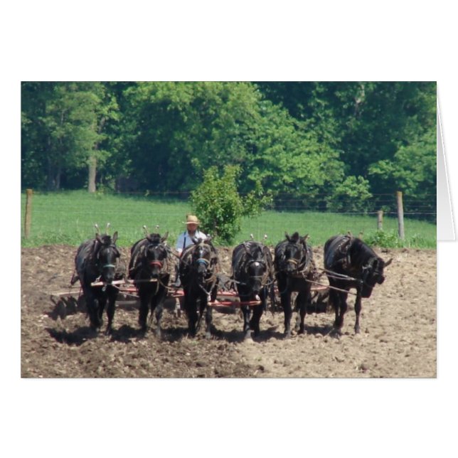 Seis caballos trabajando (Anverso (Horizontal))