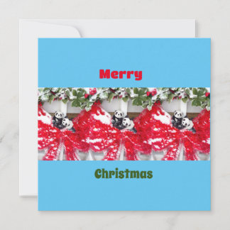 Seis Darling Pandas en los Navidades