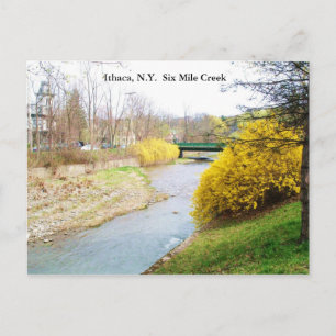 SEIS MILLAS DE CREEK, ITHACA, postal N.Y.