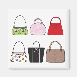 Seis pequeños imanes de bolsos