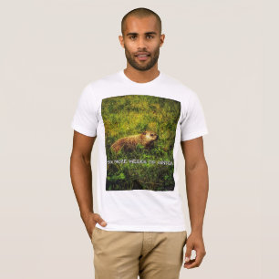 Seis semanas más de camiseta de invierno