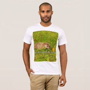 Seis semanas menos de camiseta de invierno