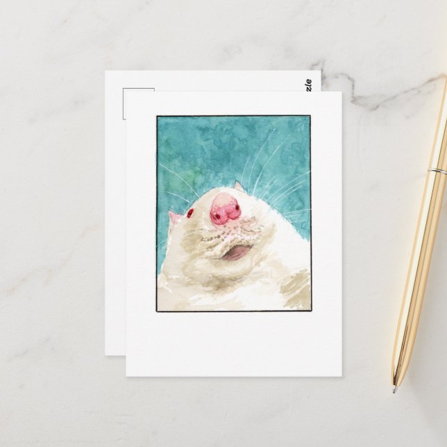 Selfie de mi rata mascota - Tarjetas postales DNM (Anverso/Reverso In Situ)