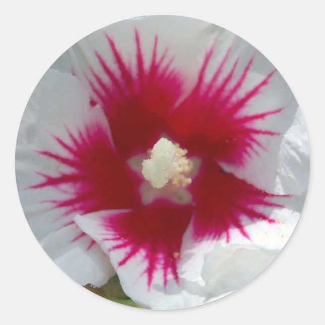 ¡Sellado con un BESO STARBURST! Pegatinas (Anverso)